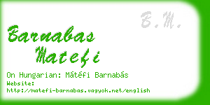 barnabas matefi business card